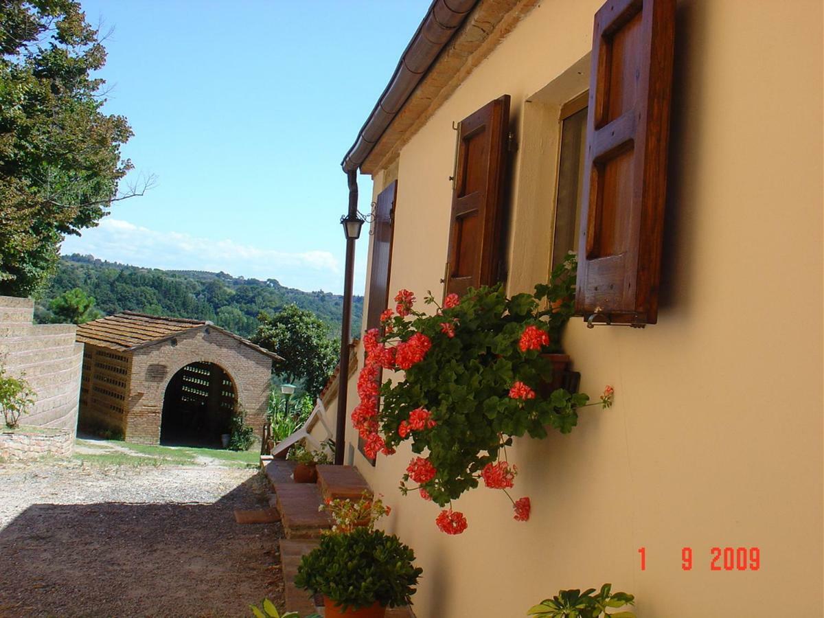 Fattoria Casanova Villa Palaia Exterior photo